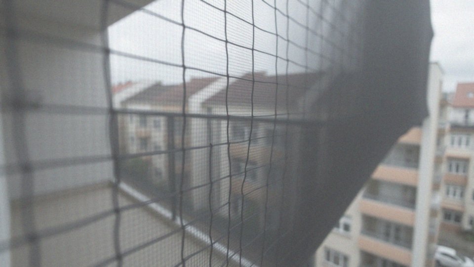 Jak siatki przeciw ptakom zabezpieczają balkony i elewacje?
