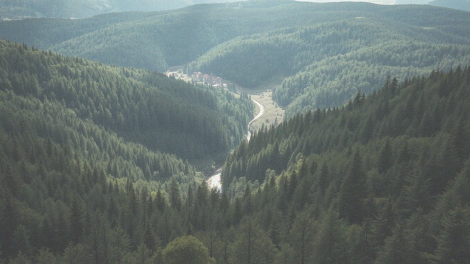 Jakie regiony geograficzne są w Lasie Turyńskim?