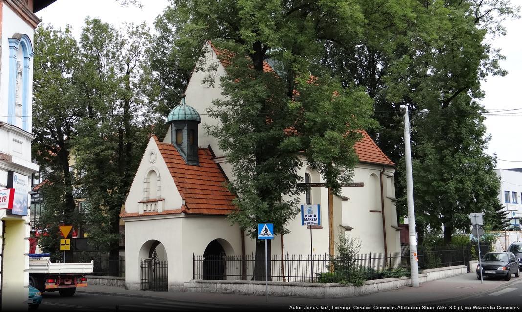 Okolica Skawiny rozkwita życiem w sezonie grzybobrania